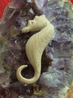 Sea Horse 02